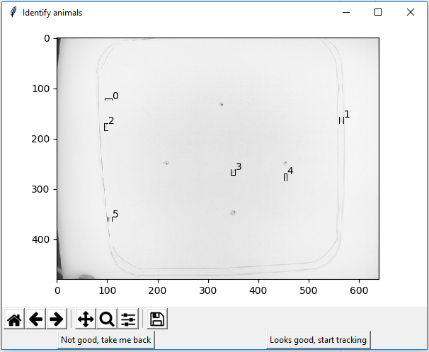6_7_MultiAnimalTrackerStartTracking.png